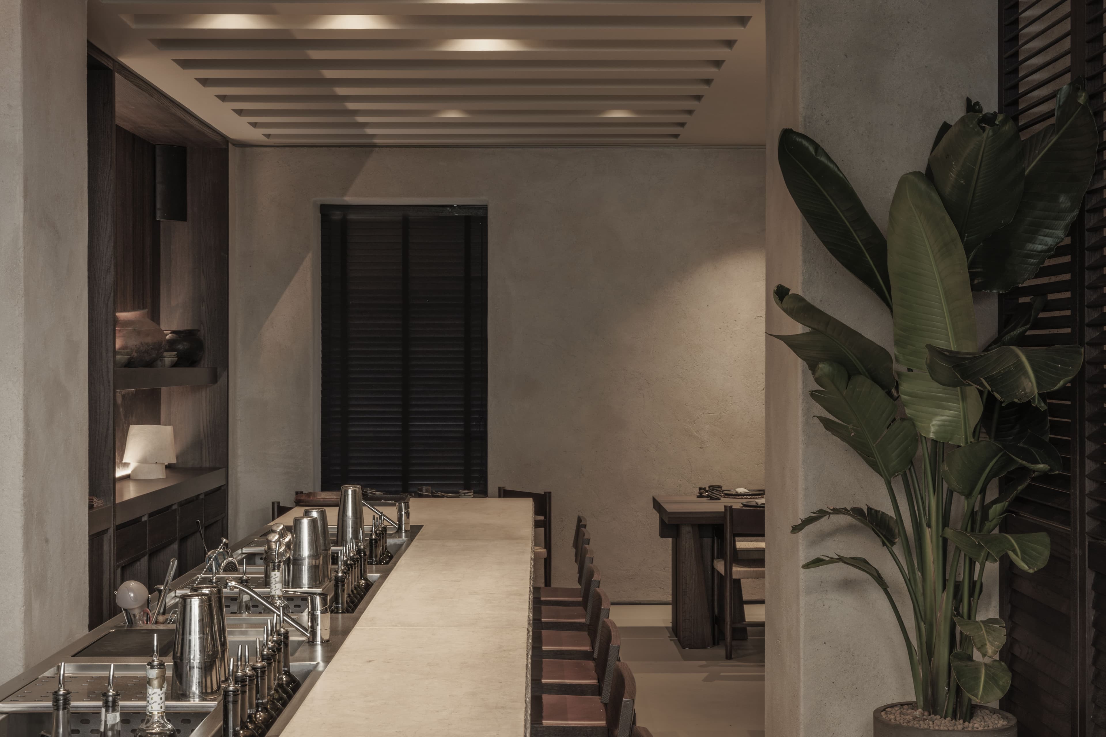 Area cocktail bar con bancone in cemento, travi a doghe al soffitto e grande pianta tropicale
