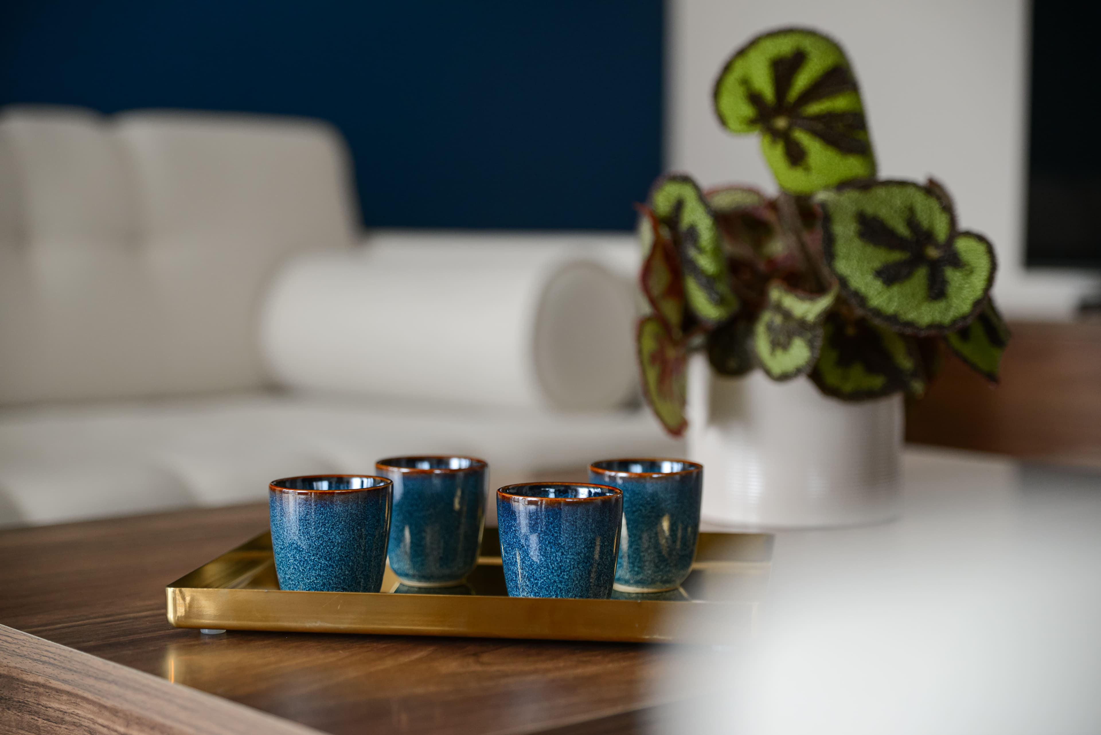 Dettaglio tazzine in ceramica blu su vassoio dorato con pianta decorativa