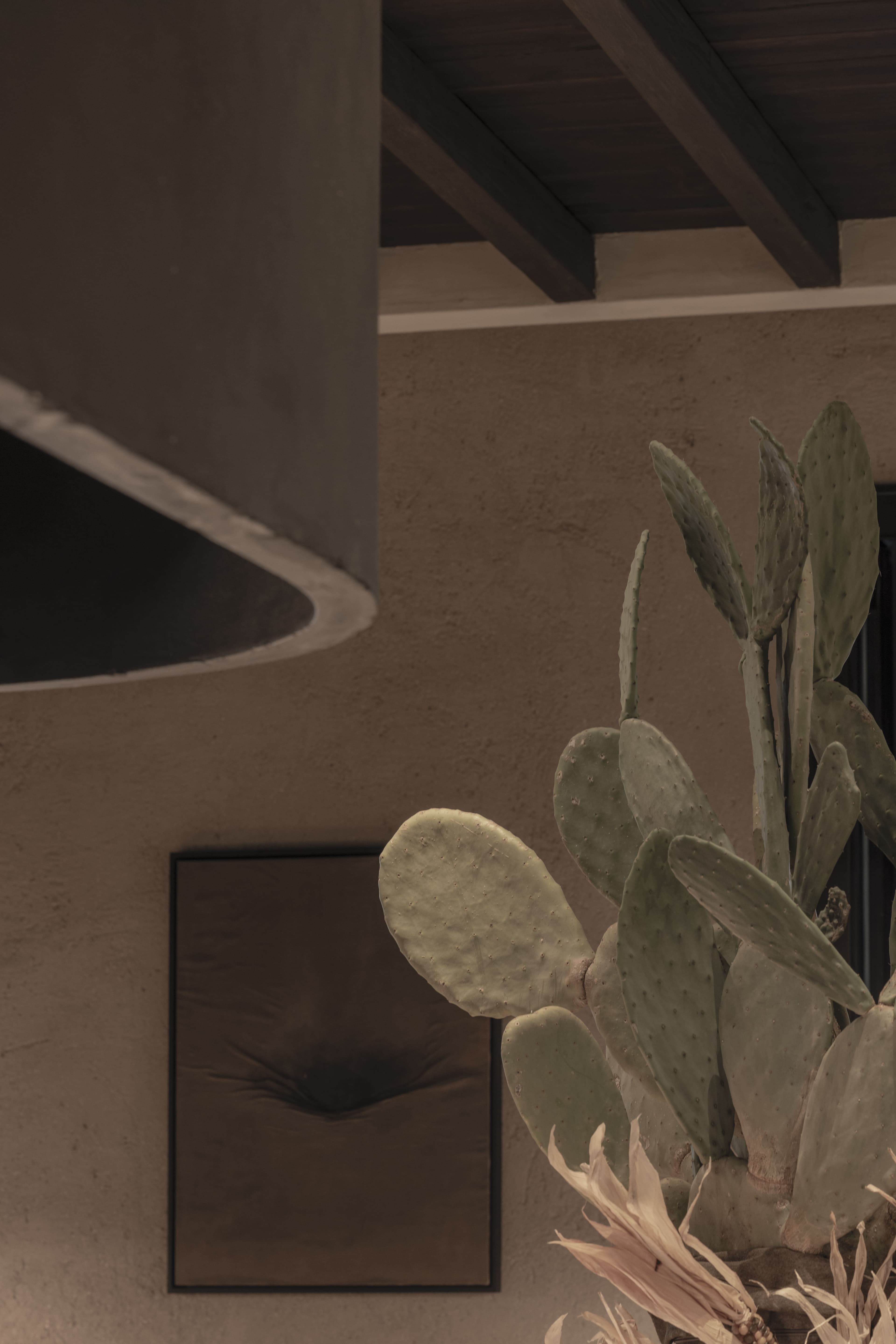 Cactus e profilo della cappa rivestita Clayworks in finitura fine
